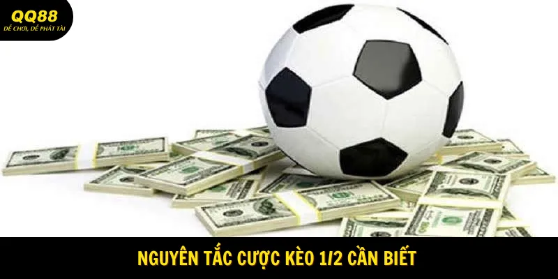 Cập nhật nguyên tắc dành cho người chơi mới 