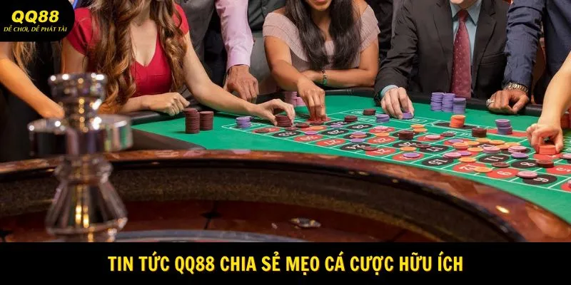 Tin tức QQ88 chia sẻ mẹo cá cược hữu ích